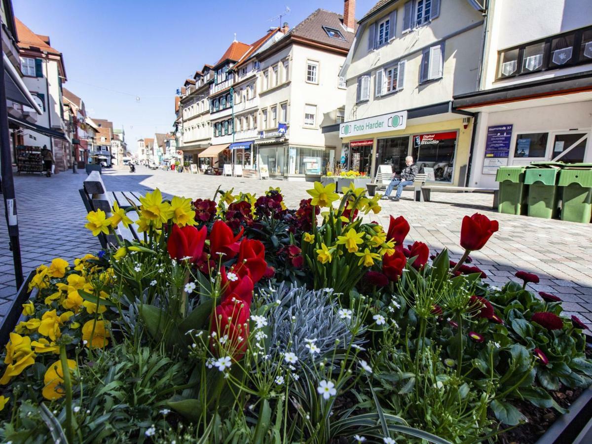 Ferienwohnung Innenstadt Oberkirch  Dış mekan fotoğraf